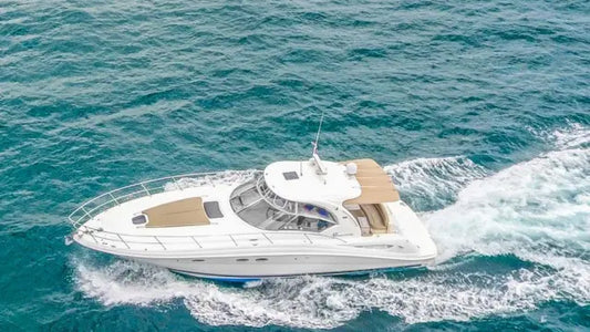 SEA RAY 42 - (12 PAX)