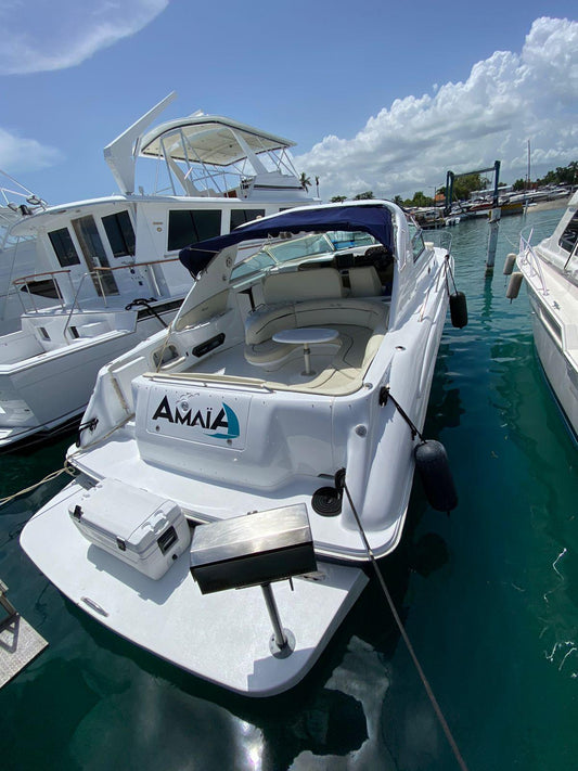 SEA RAY SUNDANCER 46’ – “AMAIA’’ (15 pax)