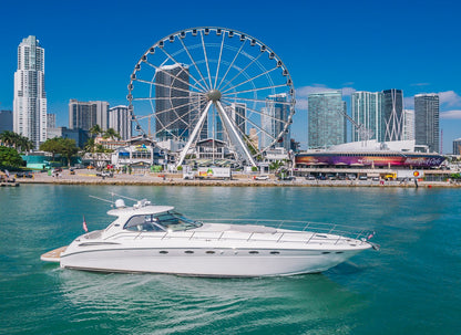 SeaRay 55' - Sexy Lady (13 pax)