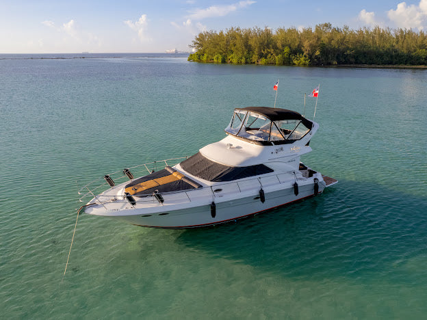 SEARAY 44´ - Flybridge Sedan - VALENTINA (15 pax)