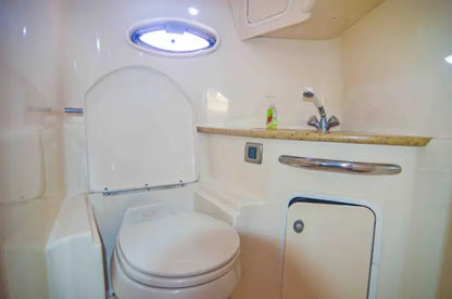 SEA RAY 42 - (12 PAX)