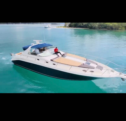 SEA RAY SUNDANCER 46' – “AMAIA'' (15 pax)