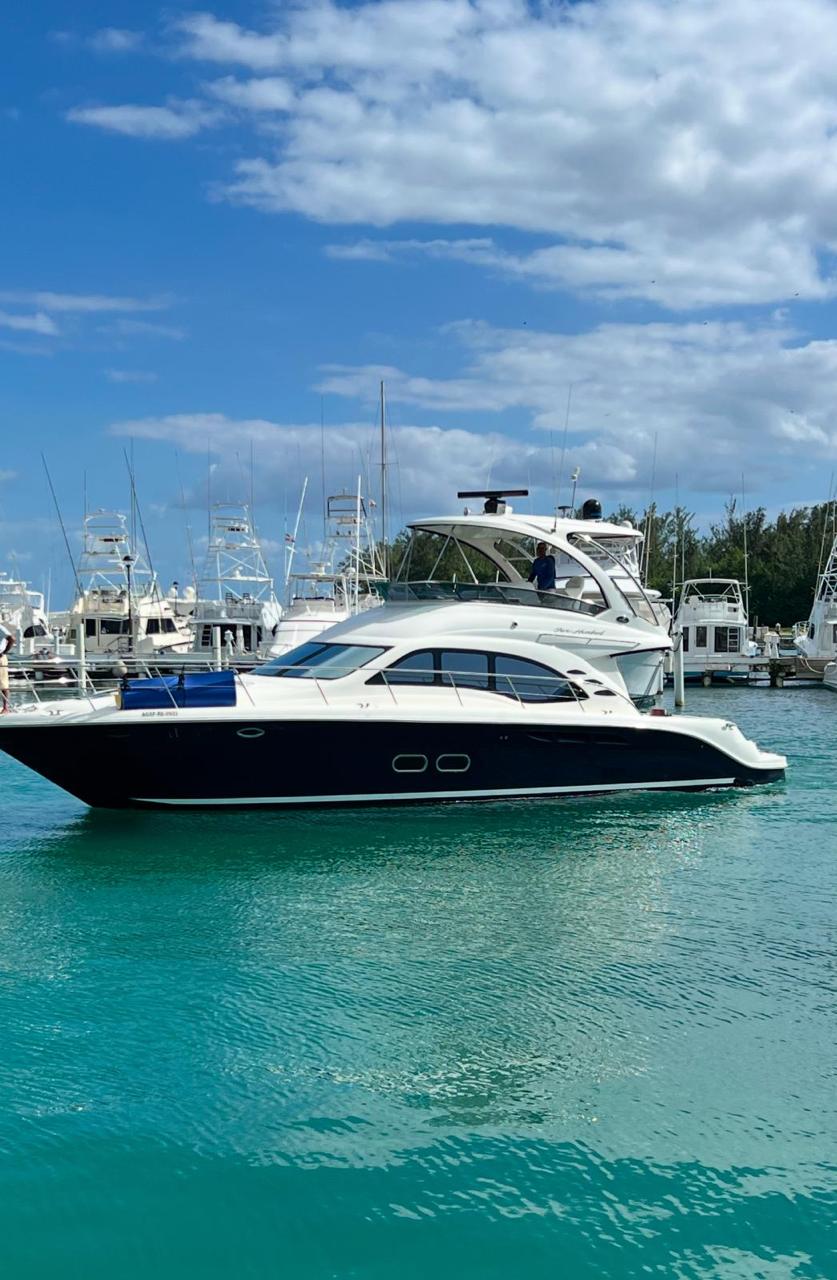 Sea Ray Sedan Bridge 50' AMAR - 15-20 pax